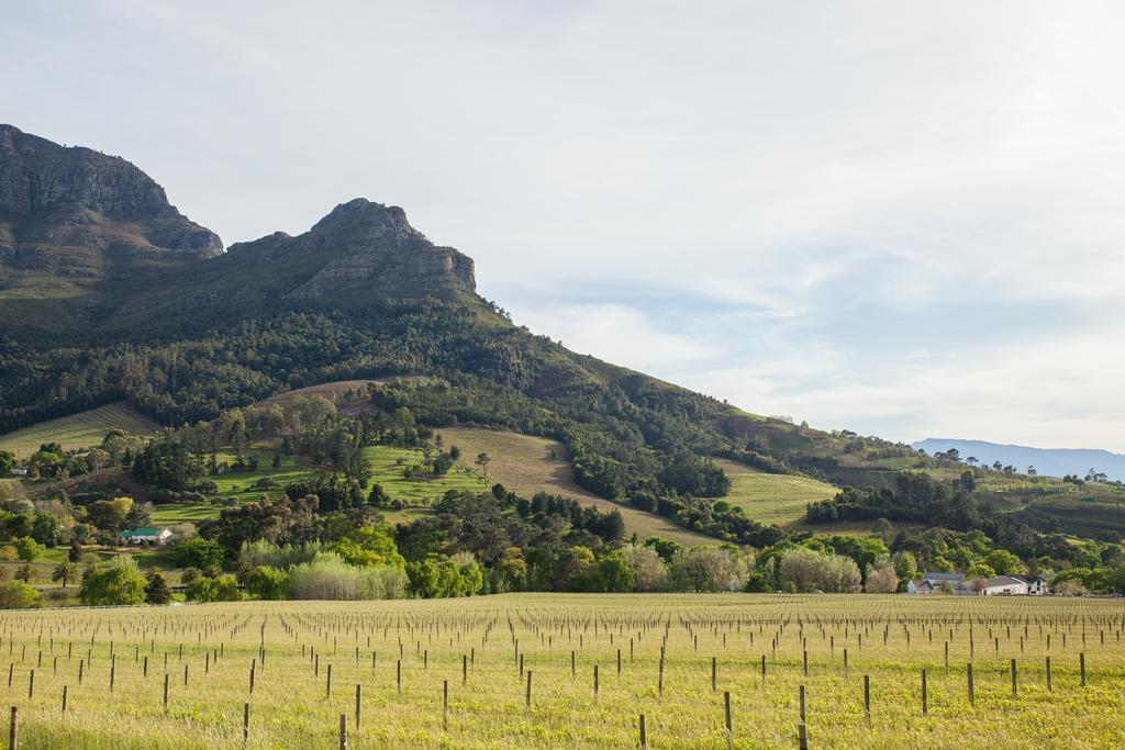 Banhoek Lodge Stellenbosch Eksteriør billede